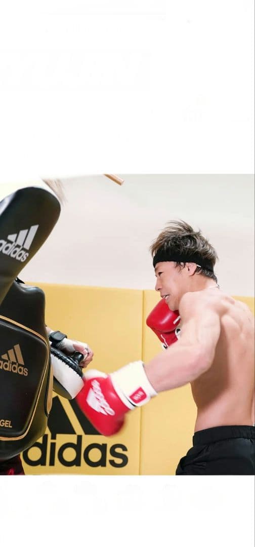 アディダス adidas FLX 3.0 スーパーボディプロテクター