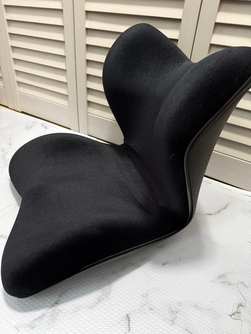 【 美品 】Style PREMIUM DX