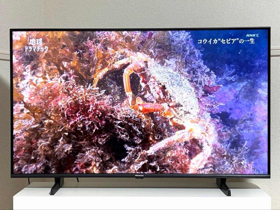 ハイセンス 液晶テレビ 43V型 4Kチューナー内蔵 43U7N