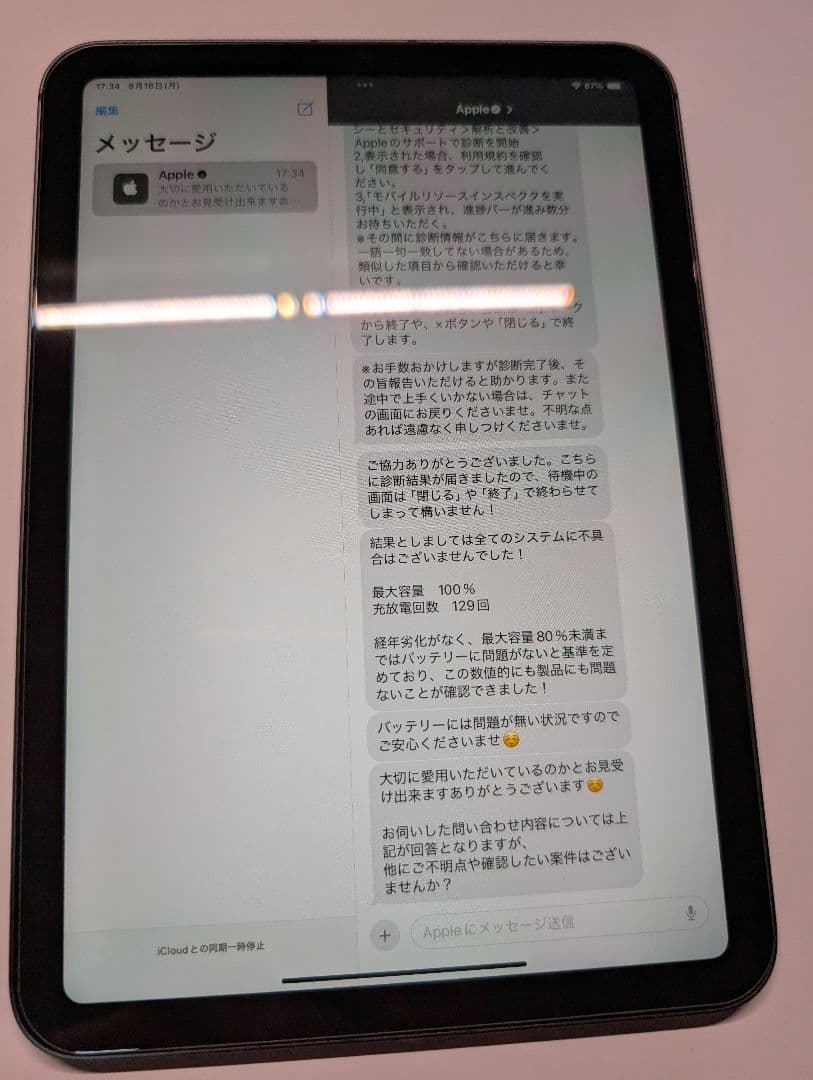 100% 超美品 iPad mini 6 WiFi + セルラー 256GB