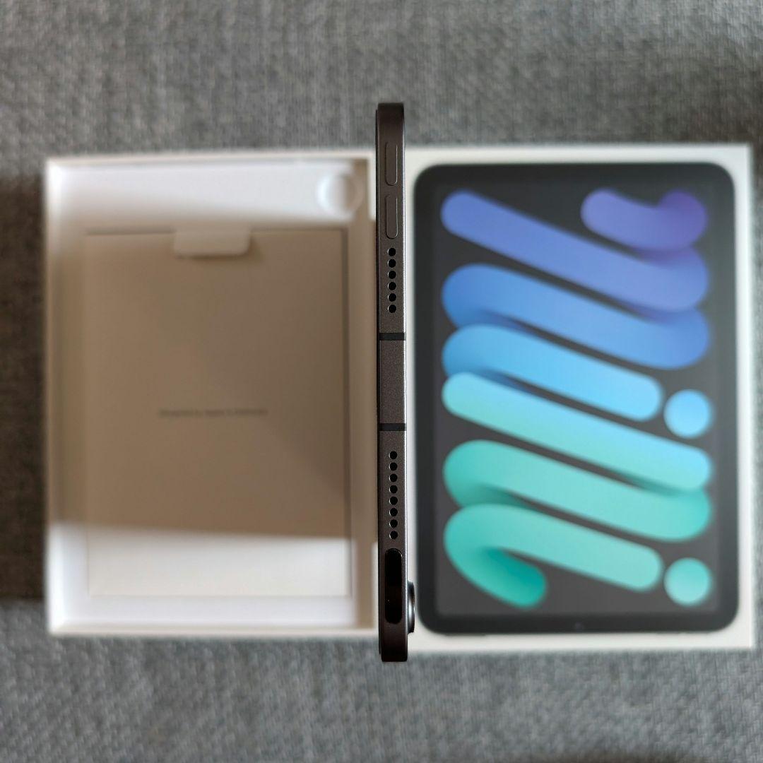 100% 超美品 iPad mini 6 WiFi + セルラー 256GB