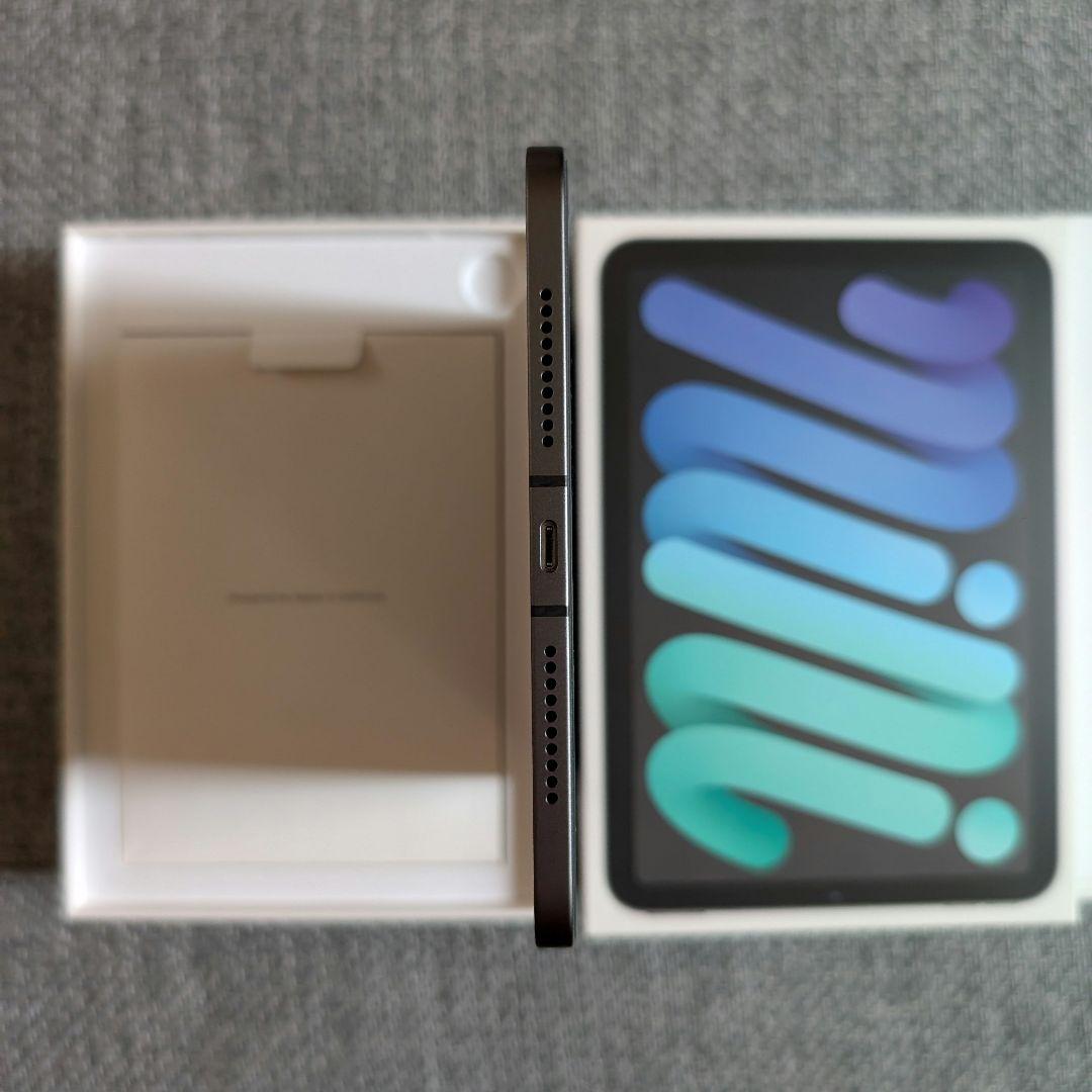 100% 超美品 iPad mini 6 WiFi + セルラー 256GB