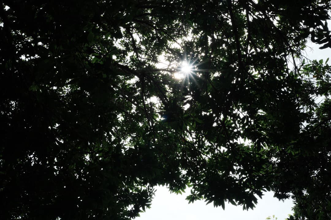 【極美品】SONY SEL40F25G 40mm F2.5G 保護フィルター