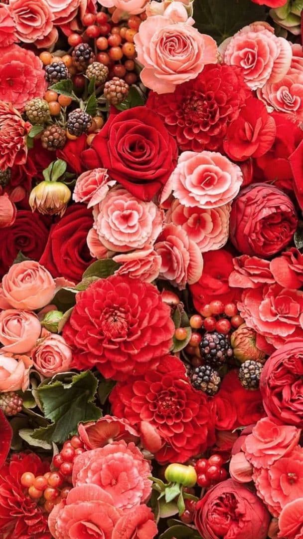 サットちゃん専用ページ❤︎