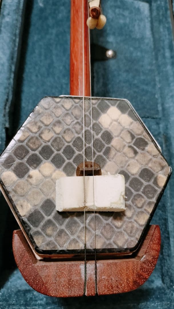 胡弓 ケース付き