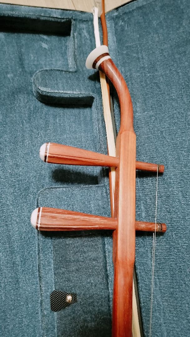 胡弓 ケース付き