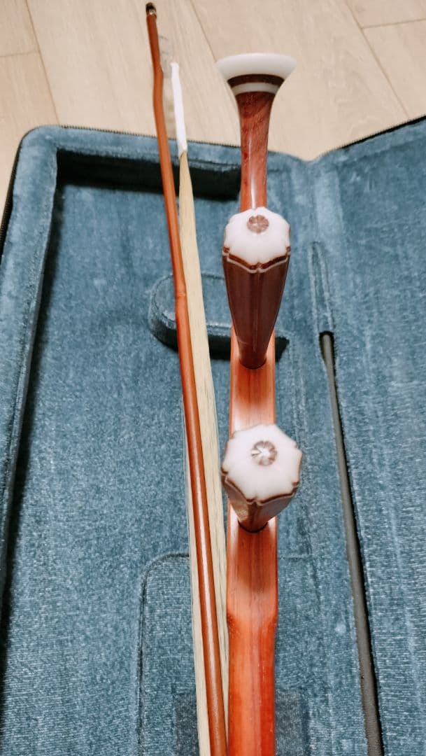 胡弓 ケース付き