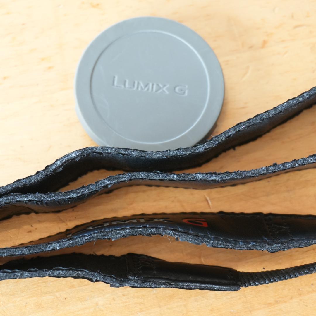 【美品】LUMIX DMC-GX7MK2L LEICAレンズ付き