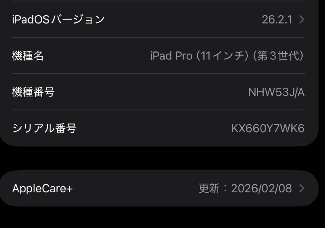 iPad Pro 11インチ（M1/128GB/セルラー）