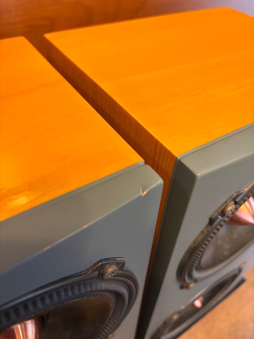 reqst pro dw-s1 モニタースピーカー