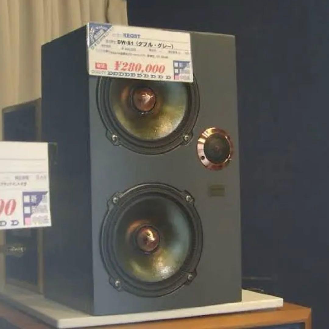 reqst pro dw-s1 モニタースピーカー