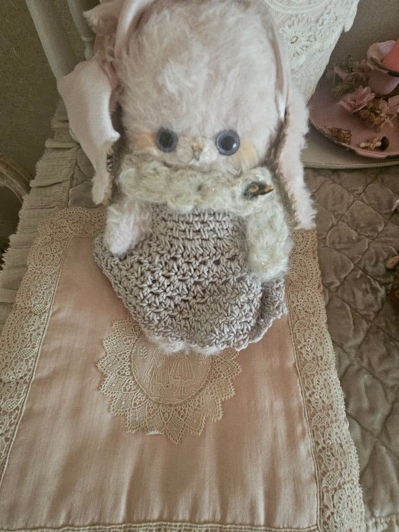 Kamo 可愛い垂れ耳ウサギ