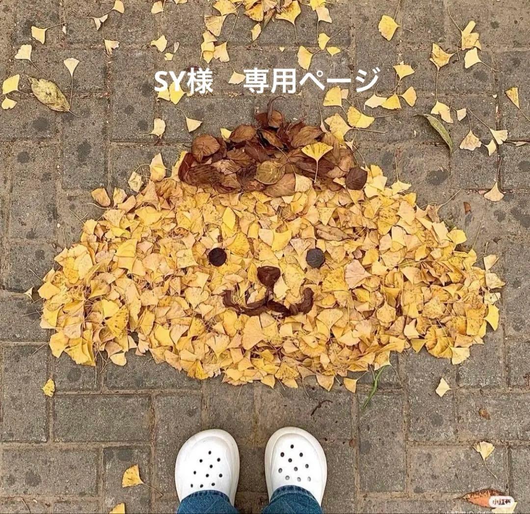 専用アカウント sy 様