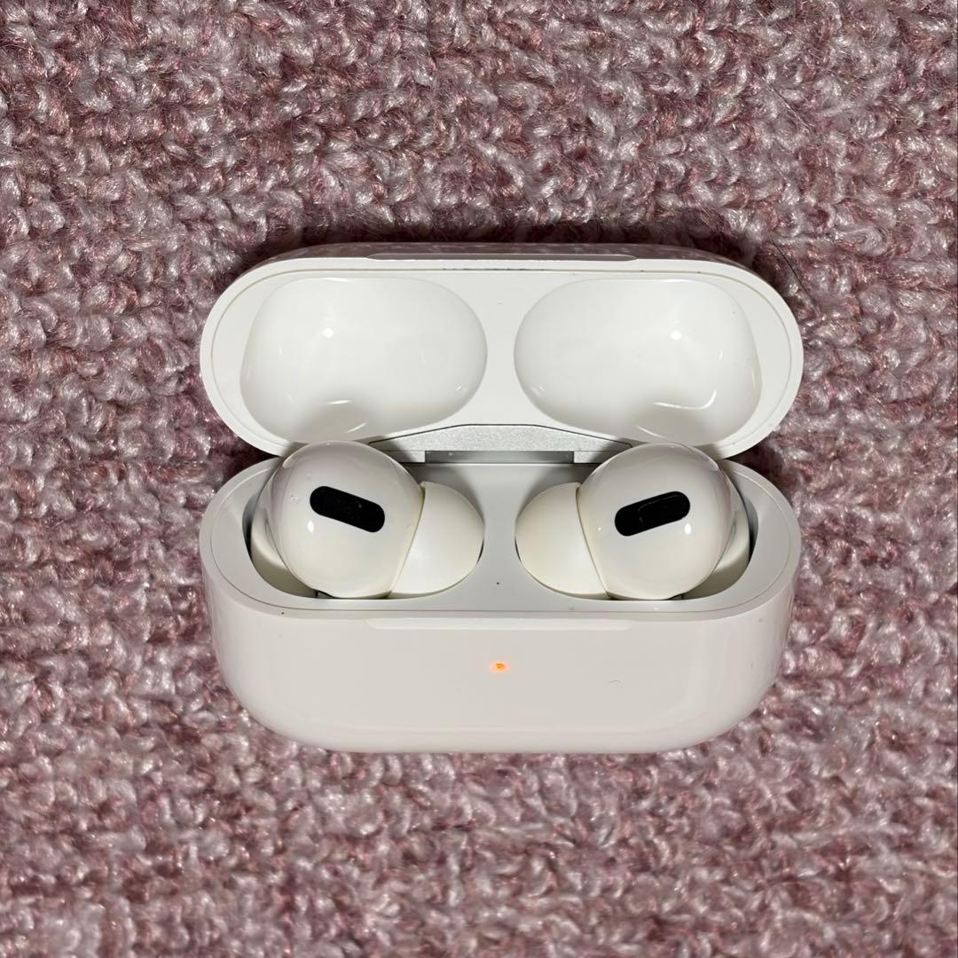 AirPods Pro 第一世代　本体と左耳のみ