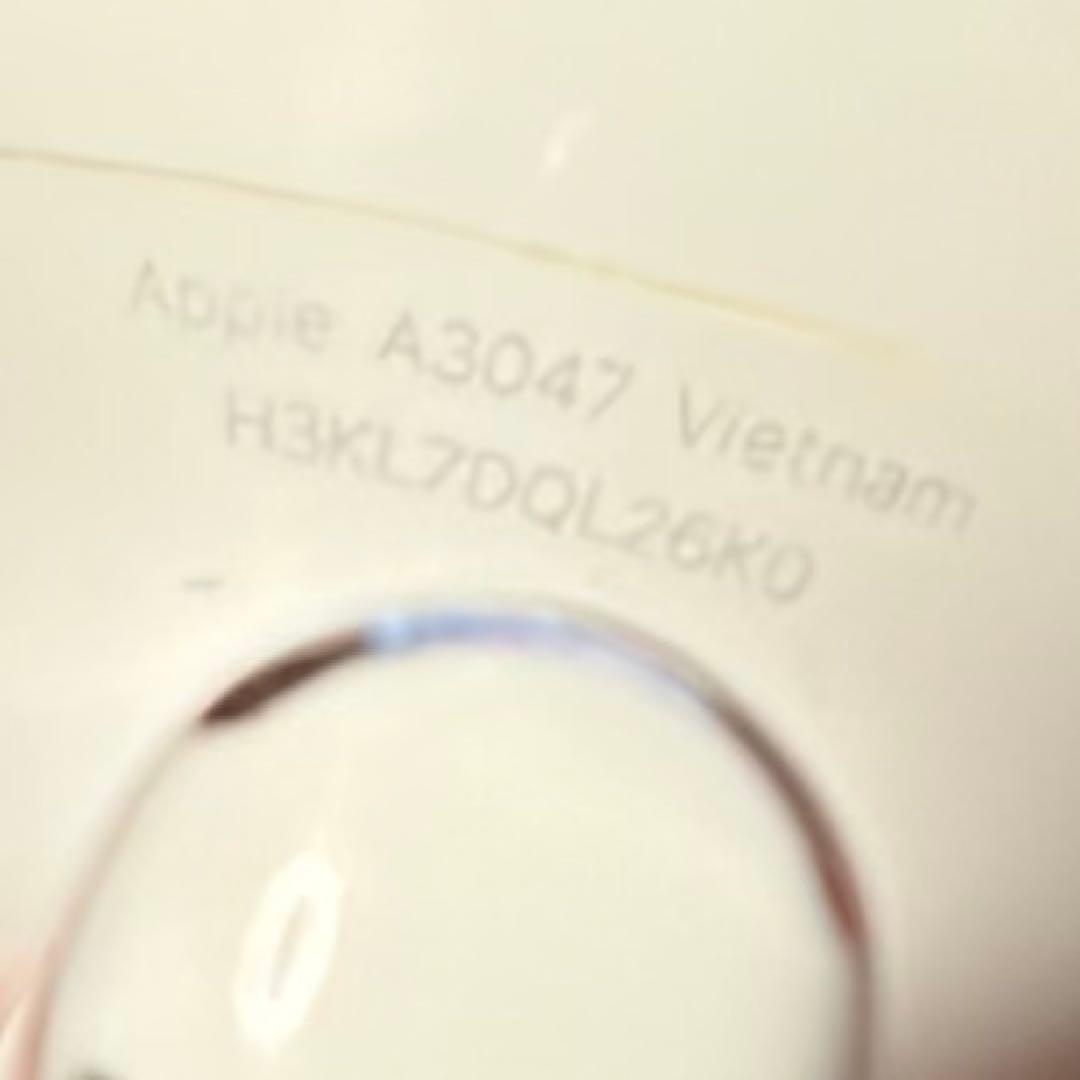 Apple AirPods Pro2用 R右 A3047 本体 イヤーピース付