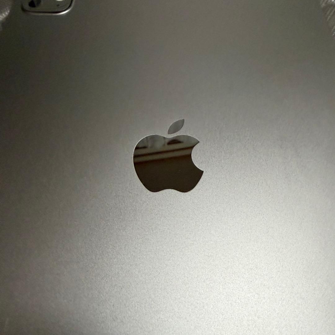 iPad Pro (M4) 11インチ (256GB Wi-Fiモデル)