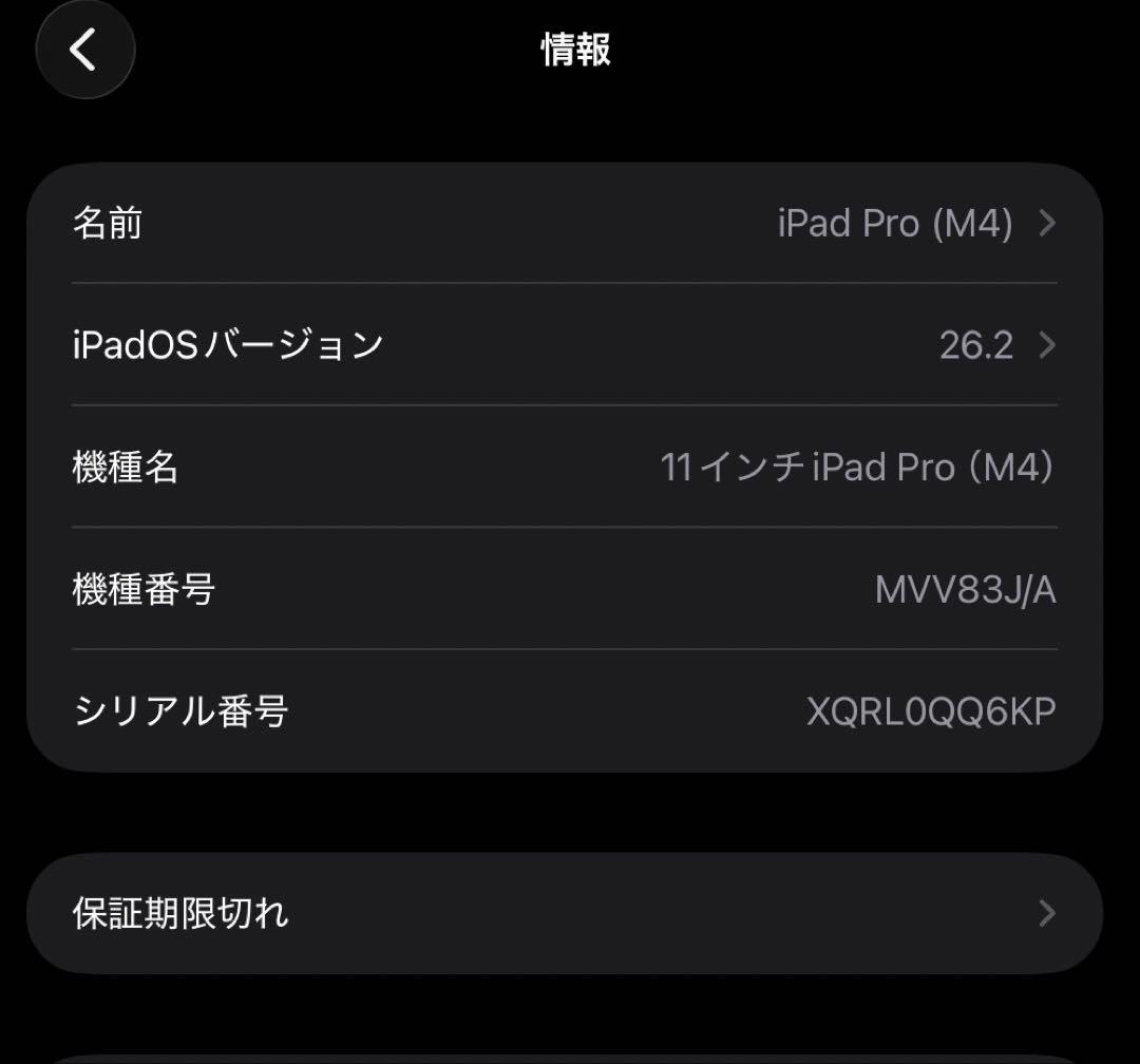 iPad Pro (M4) 11インチ (256GB Wi-Fiモデル)