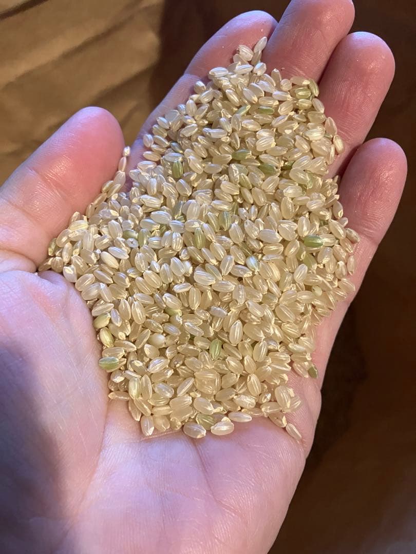 【農家直送】令和7年産 にじのきらめき 玄米 20kg 岡山県産