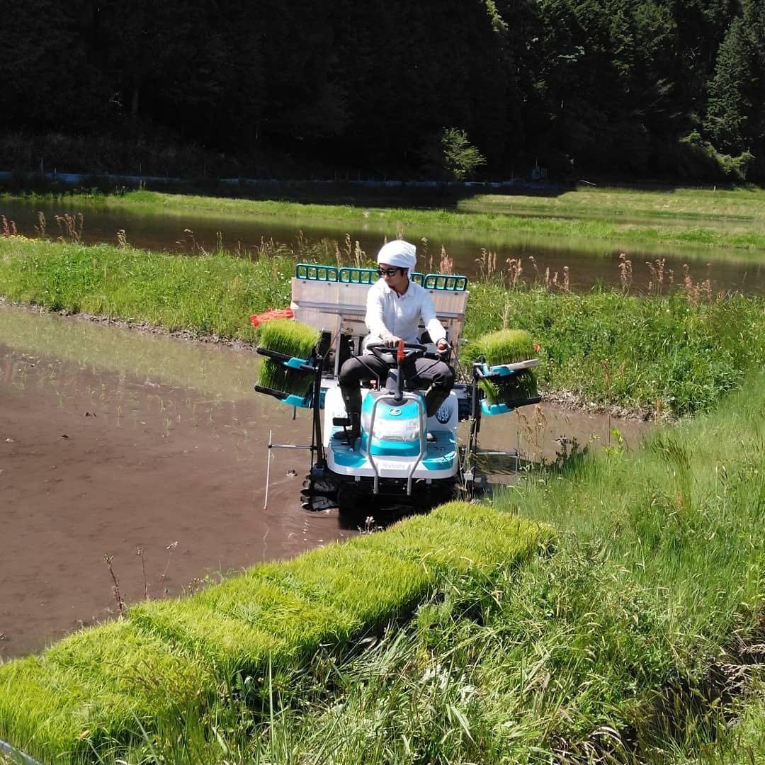 【農家直送】令和7年産 にじのきらめき 玄米 20kg 岡山県産