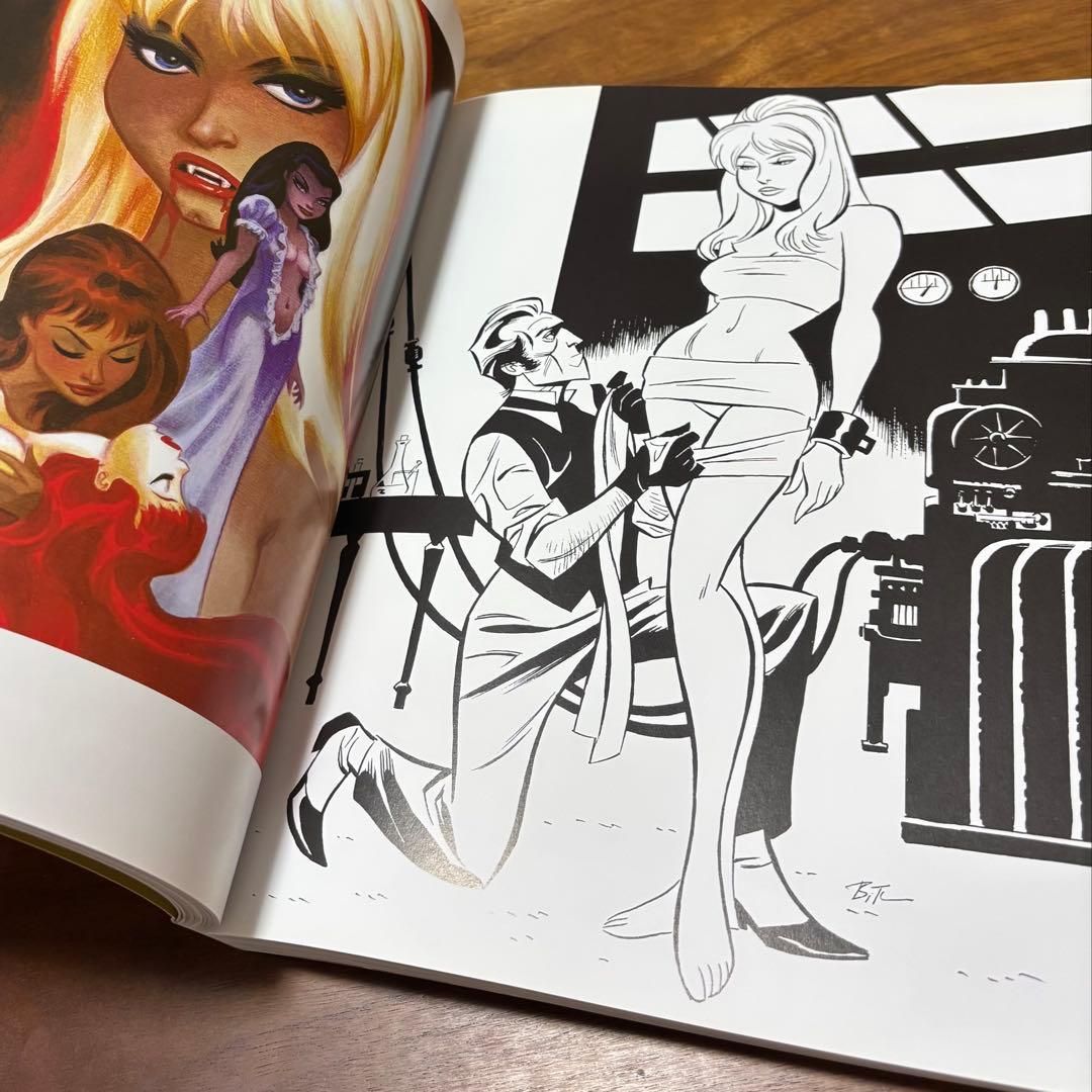 洋書 Naughty And Nice / Bruce Timm
