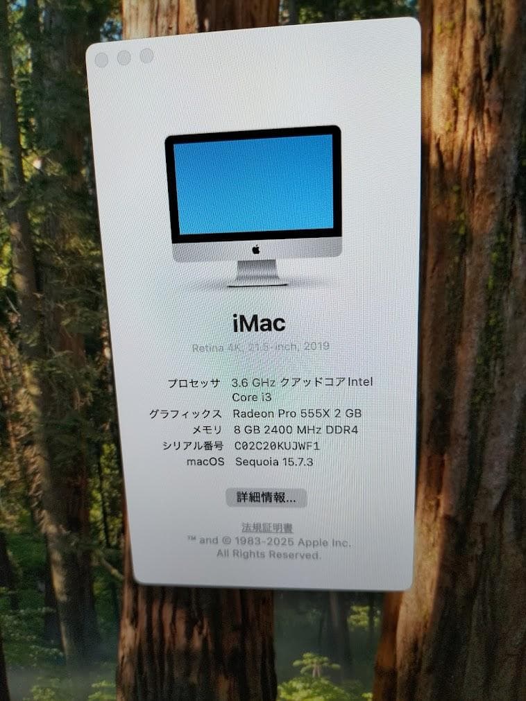 iMac 2019年　SSD 4K Retina