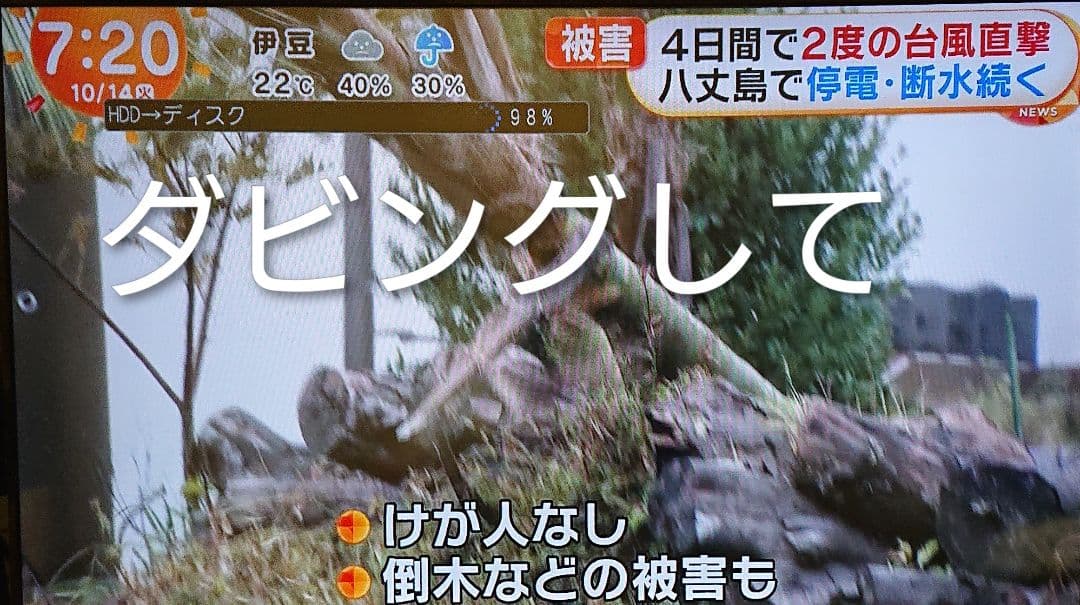 最終価格/5TB/東芝/DBR-M490/レグザ/全録/純正リモコン付