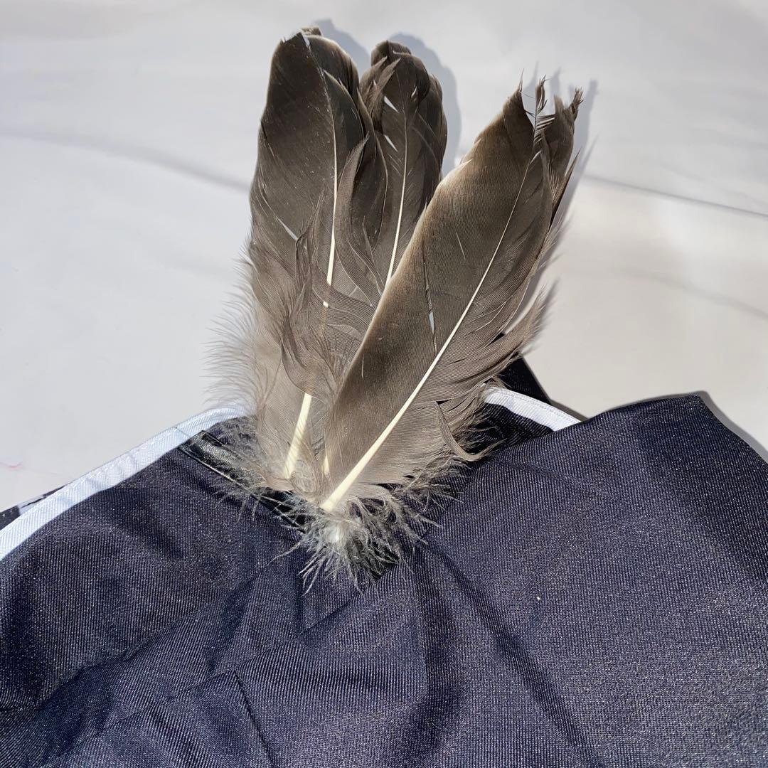 ローレン・イロアス コスプレ フルセット