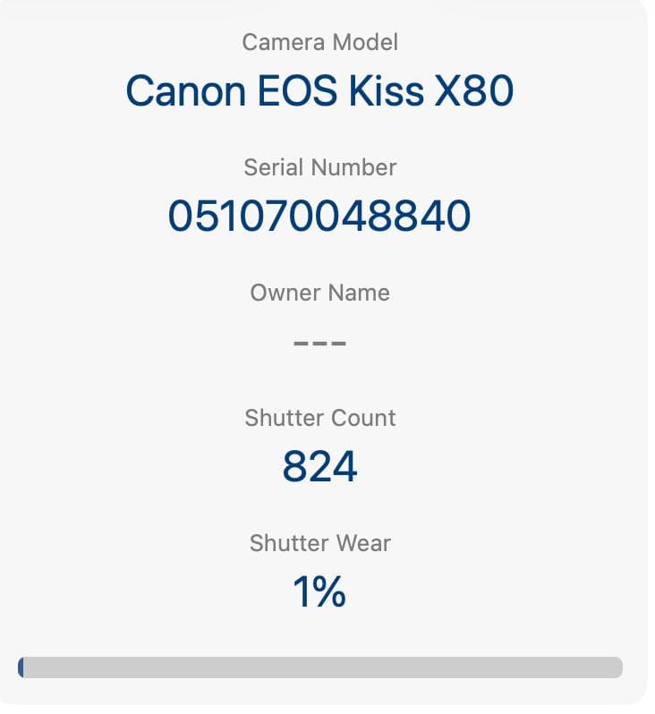 【ショット数824回！】Canon EOS Kiss X80 デジタル一眼