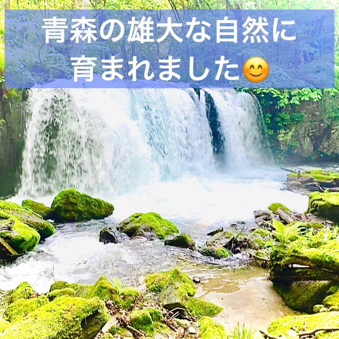 タネにおすすめ　青森県産 にんにく 3kg 2Lサイズ　福地ホワイト六片