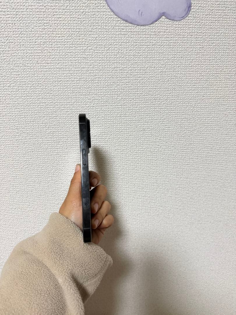 Apple iPhone 14Pro, スペースブラック