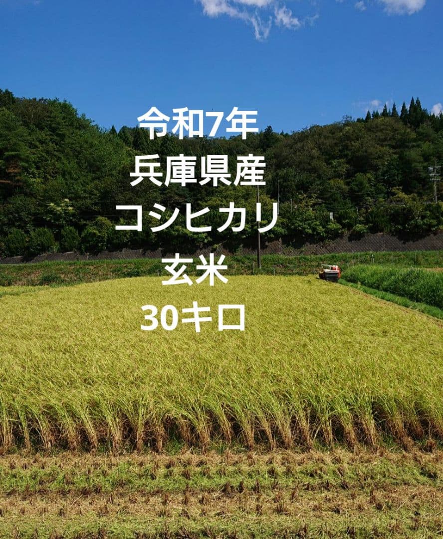 令和7年 兵庫県産コシヒカリ 玄米30キロ