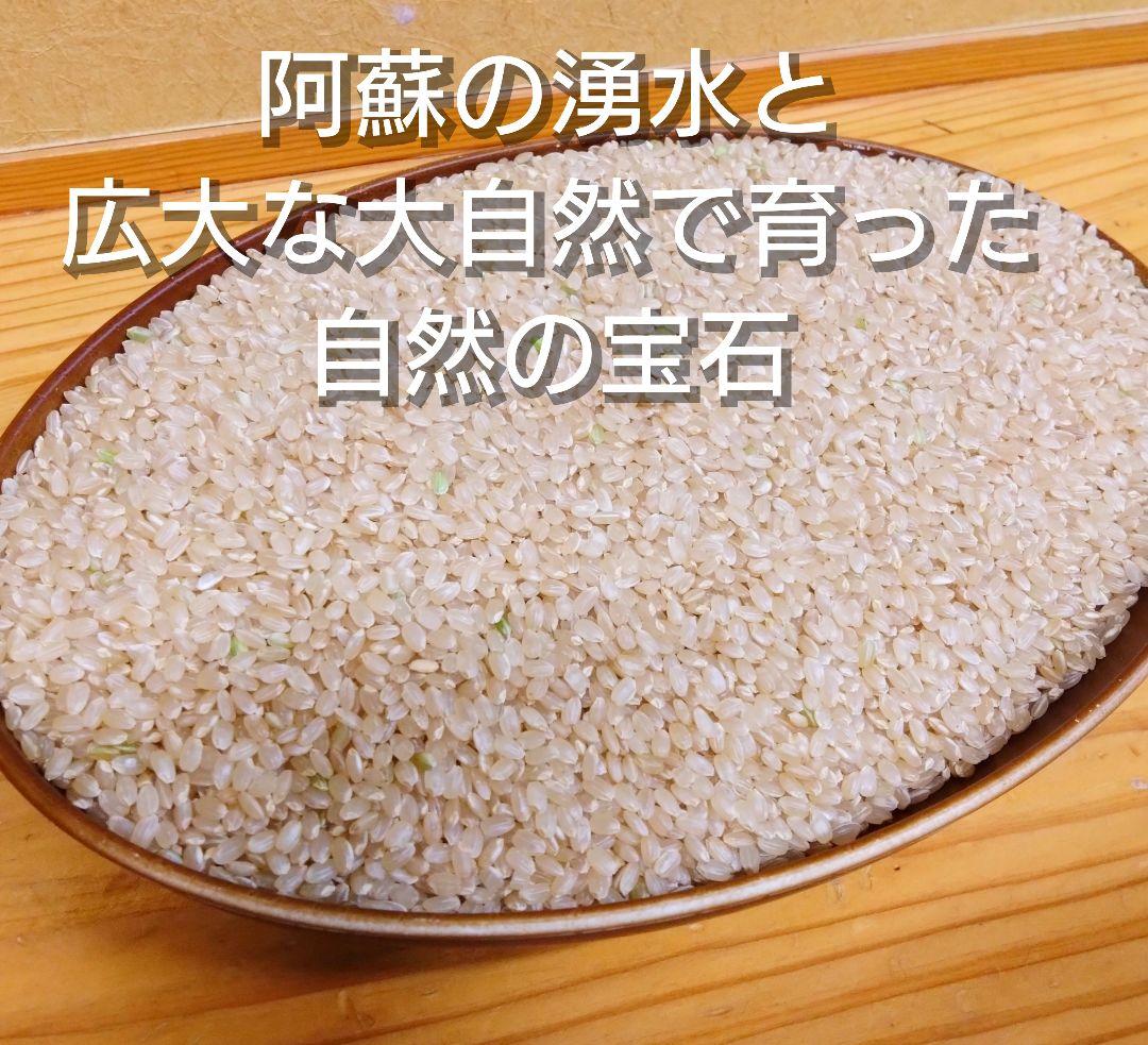 令和7年 自然栽培米　イセヒカリ 20kg 玄米