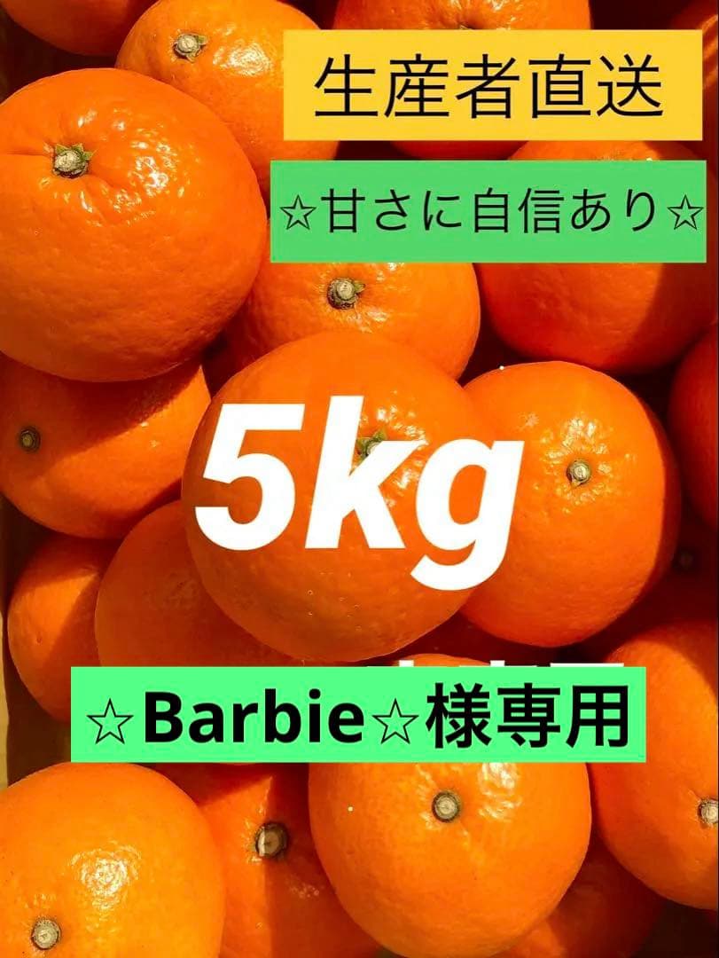 ⑤【小玉】紅マドンナ同品種　愛果28号　まどんな