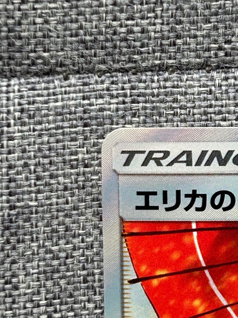 エリカのおもてなし SR