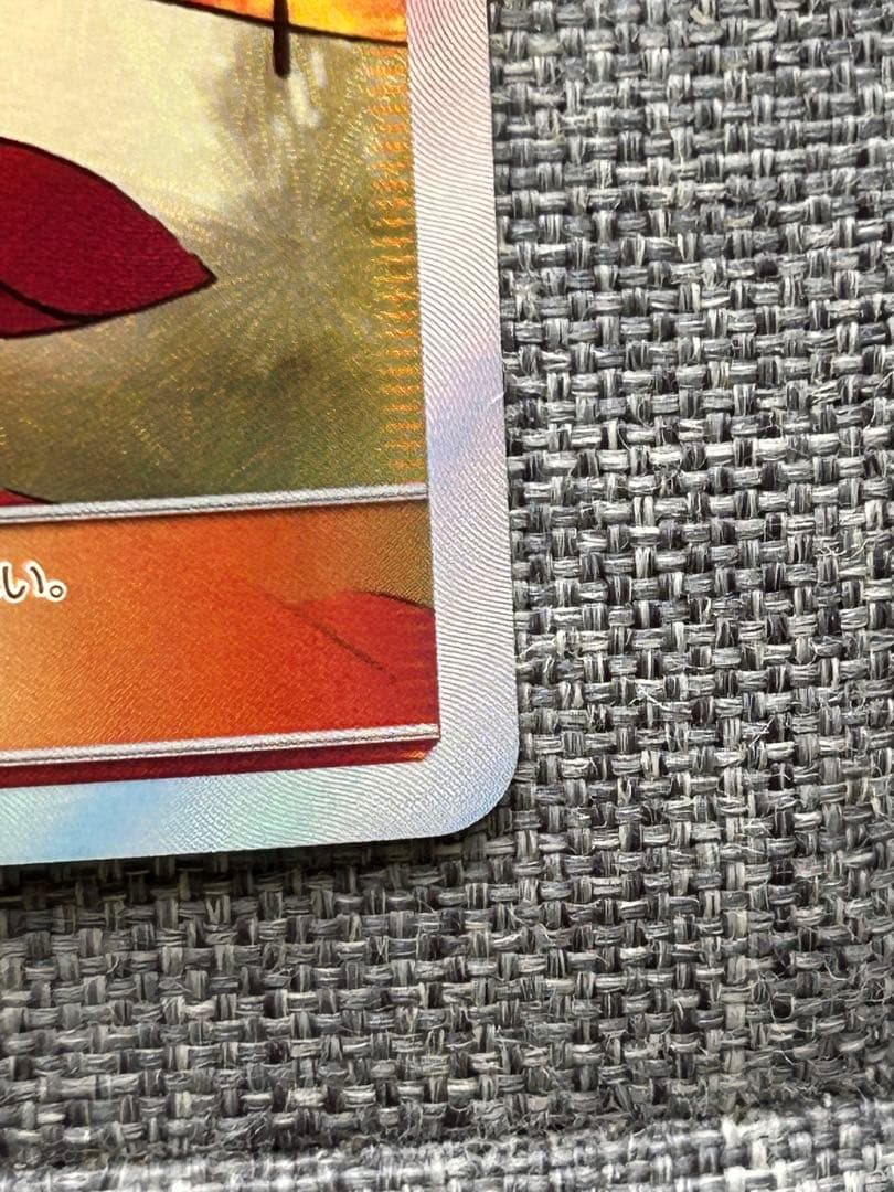 エリカのおもてなし SR