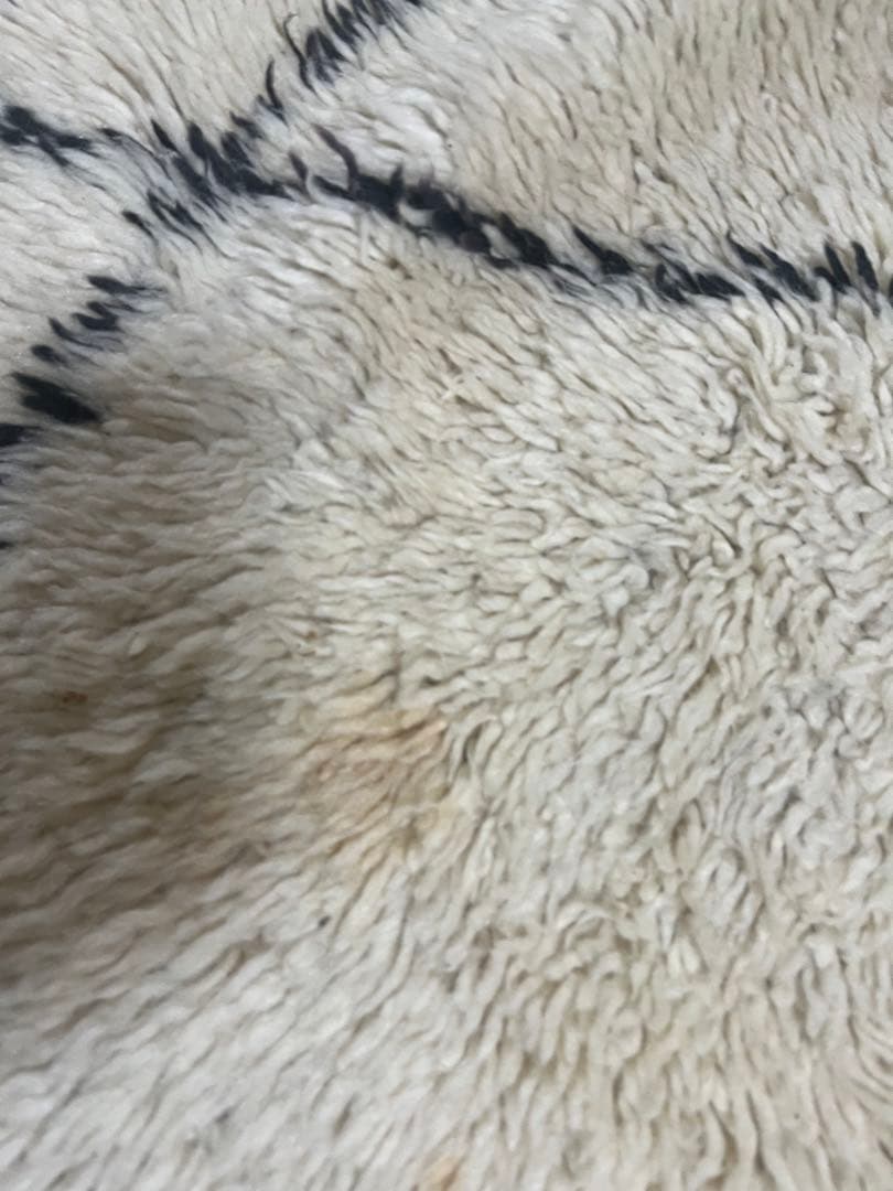 ベニワレン　モロッコラグ　マルムーシャ