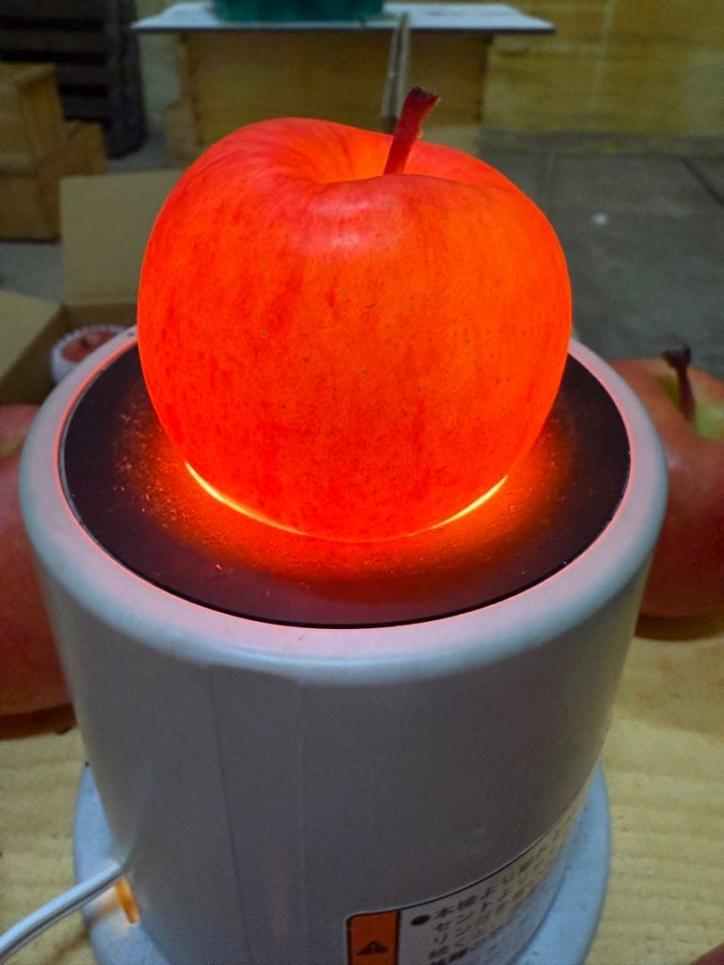 農家直送！青森県産⭐️高徳りんご　蜜りんご　80サイズ箱18個入り　お得用‼️