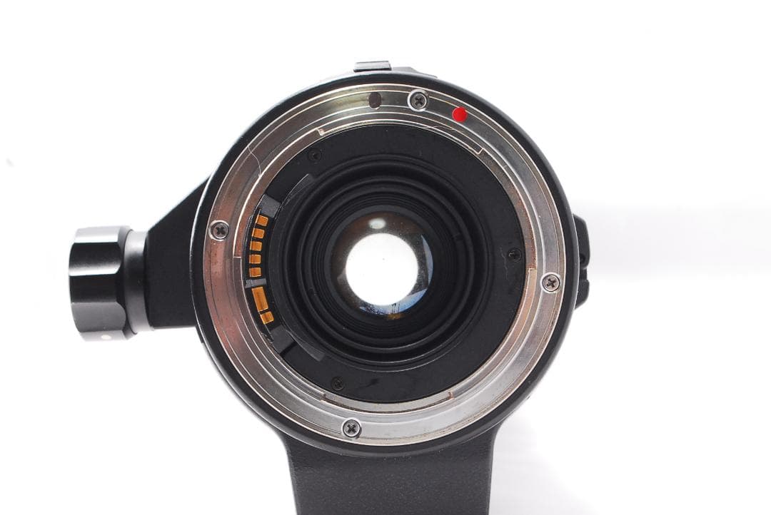 ✨超望遠レンズ✨SIGMA 170-500mm F5-6.3 APO Canon