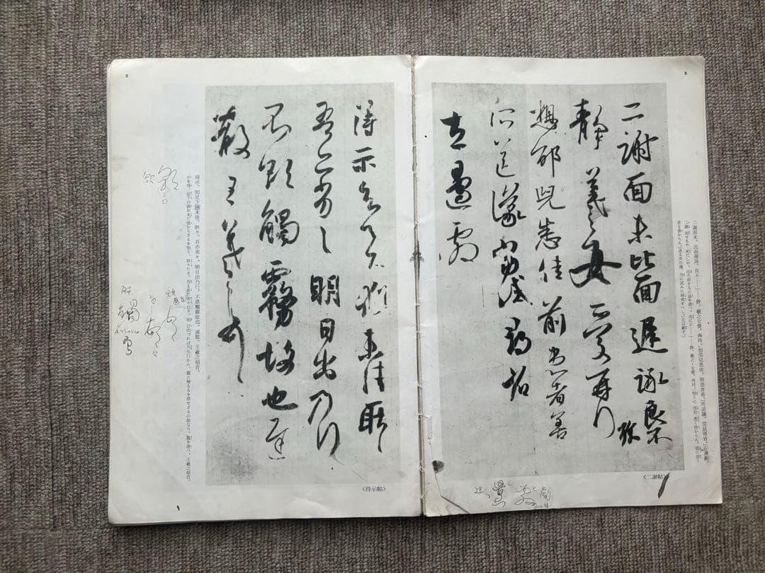 中国法書選 王羲之の尺牘集・草書千字文・龍門二十品など 12冊まとめて　書道