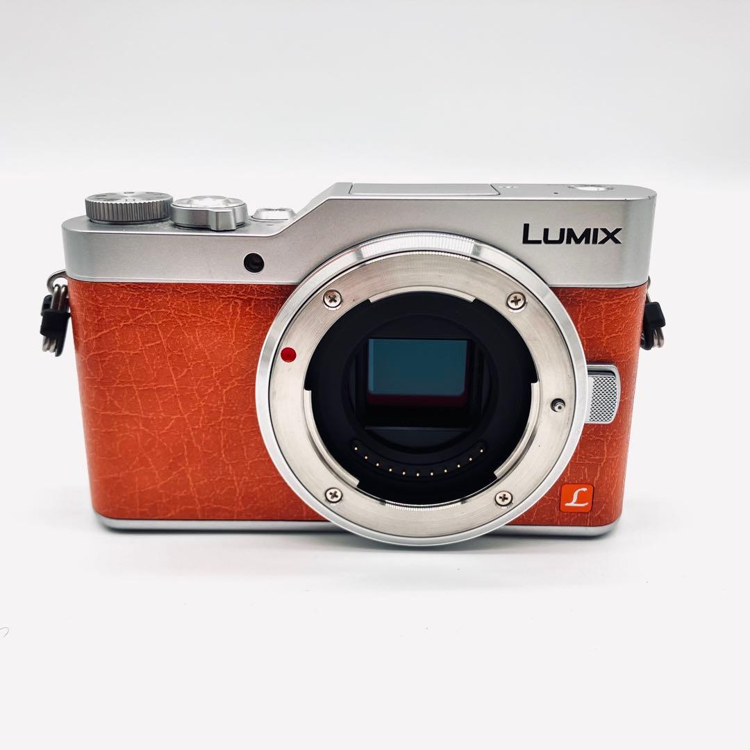 Panasonic DC-GF9 オレンジ　ダブルレンズキット