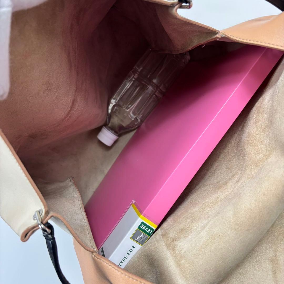 専用セリーヌ　フィービー期　オールソフト　ワンショルダーバッグ　バイカラー