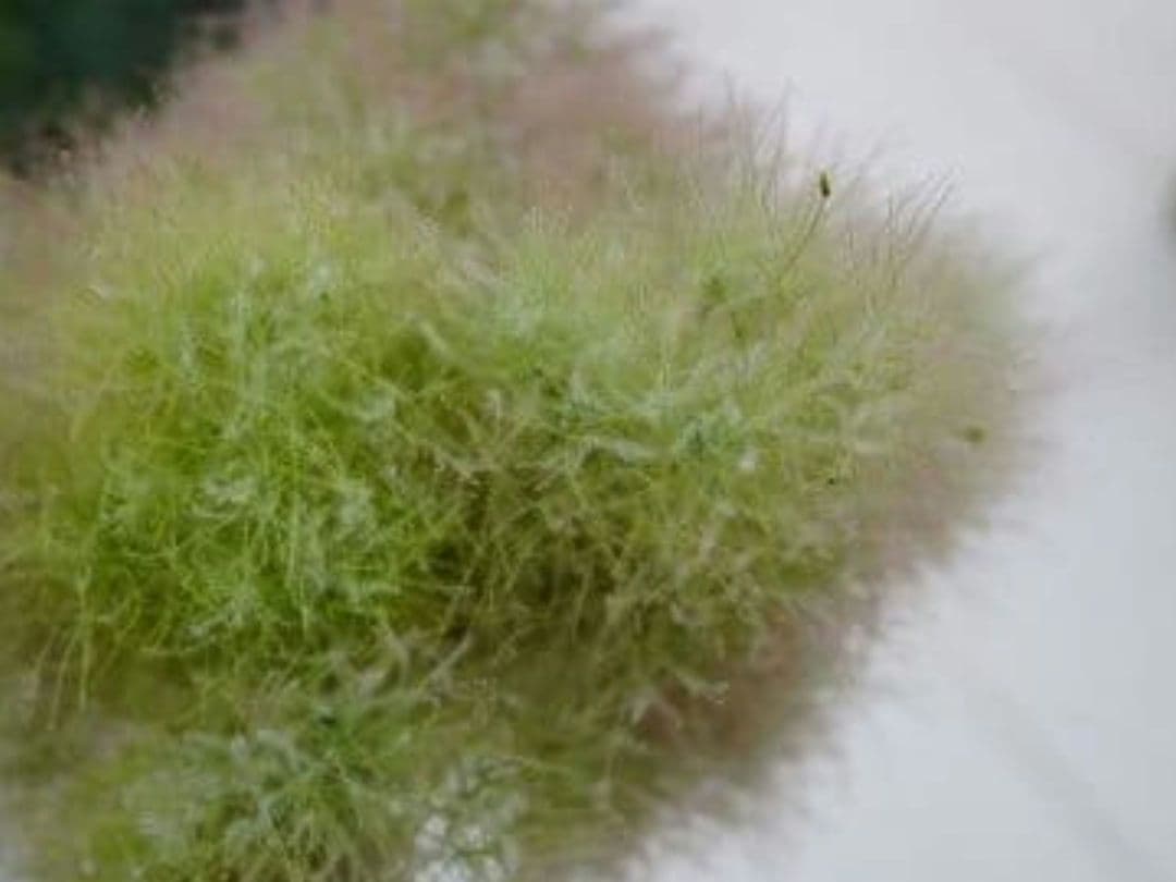 人気のシルバー色カメラ　SONY α6400 ミラーレス一眼カメラセット