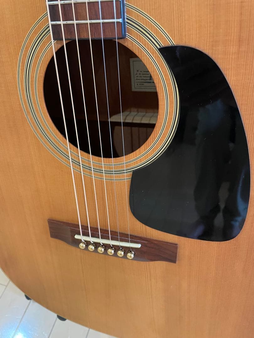 Takamine アコースティックギター