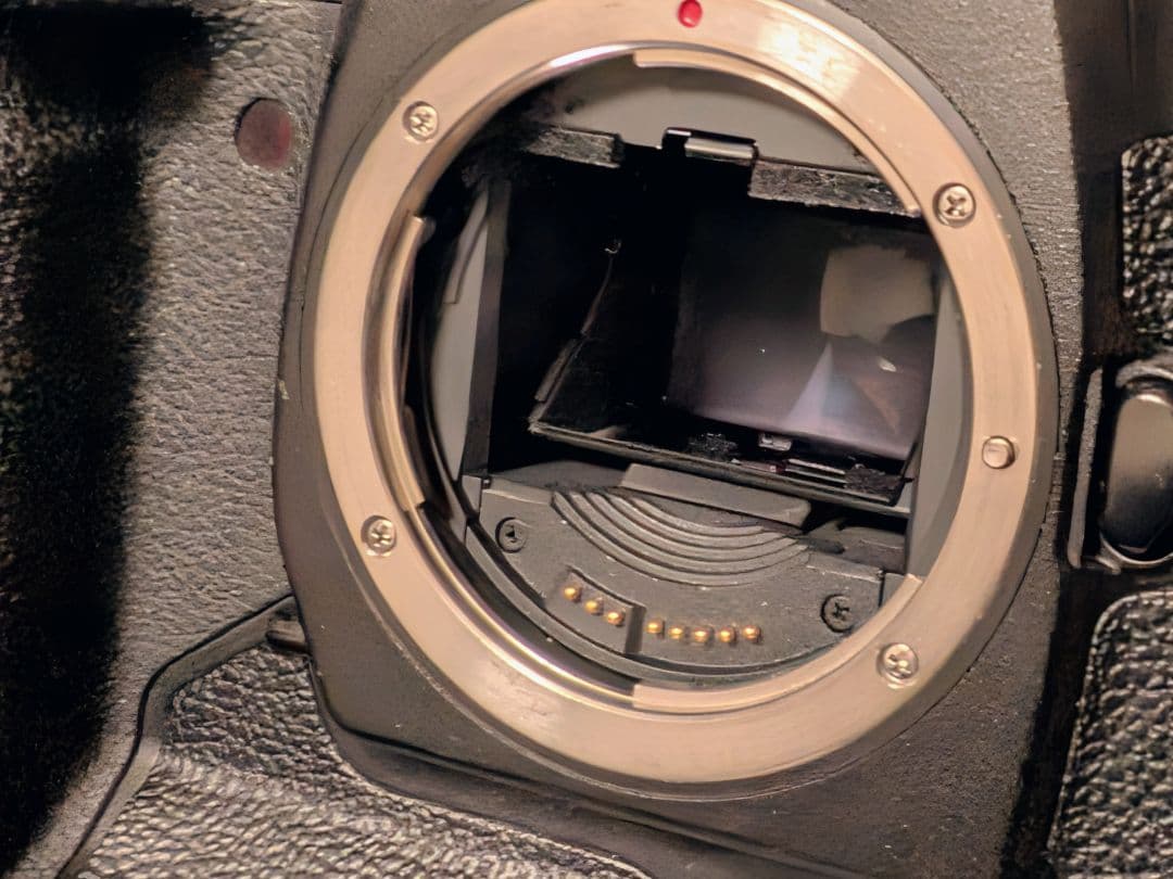 H*E様 EOS 1Ds malkⅡ 動作品 DCアダプターのみ