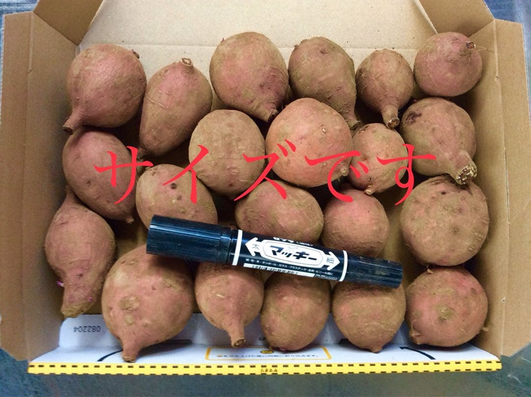 種子島産安納芋プチサイズどんと20kgさつまいもの王道 焼き芋におやつ#21