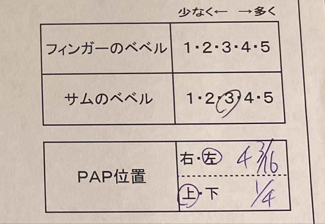 ABSOLUTE POWER (STORM) 13ポンド