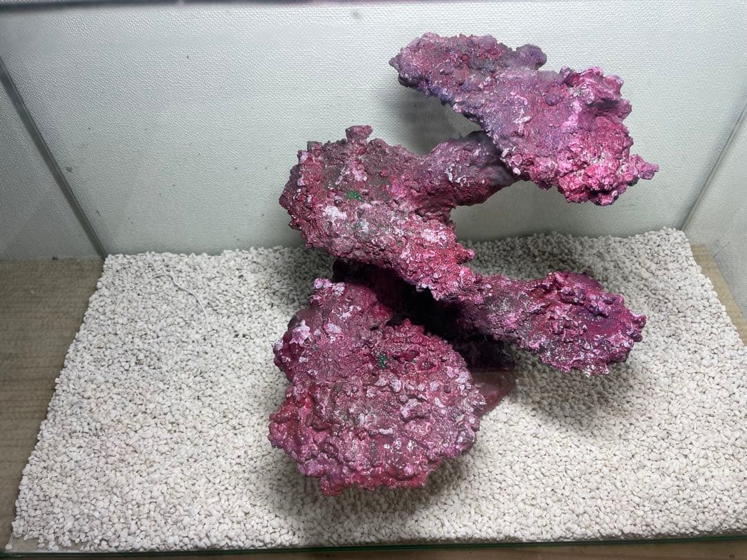 人工ライブロック RR62 アク抜き済み安心塗料使用