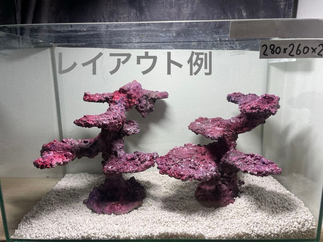 人工ライブロック RR62 アク抜き済み安心塗料使用