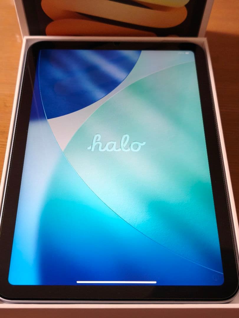 iPad mini 第7世代（A17 Pro）ブルー、 ケース付き