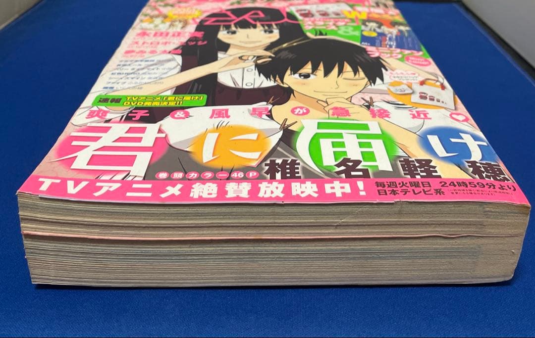 別冊マーガレット2009年11月号